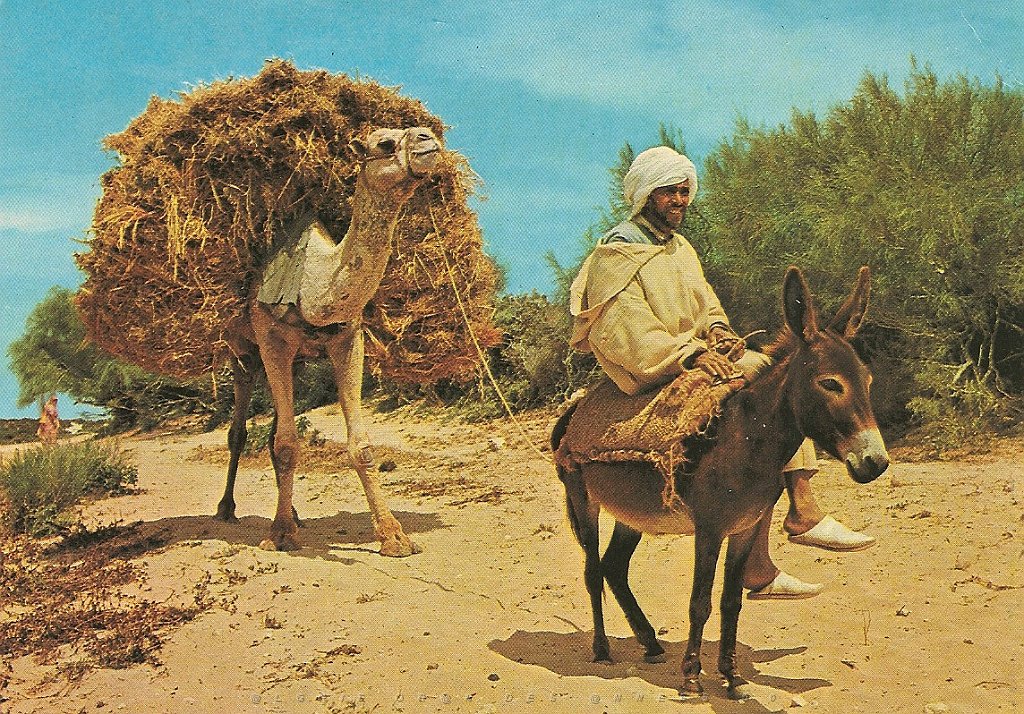 SUD MAROC (4).jpg